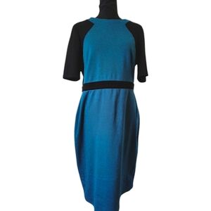 Danny and Nicole Black and Blue dress💎